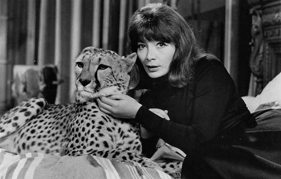 Maléfices (1962) rarefilmm The Cave of Films